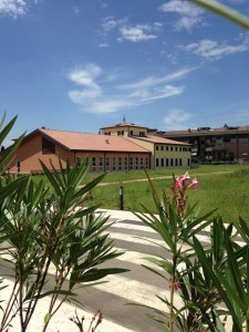 foto1